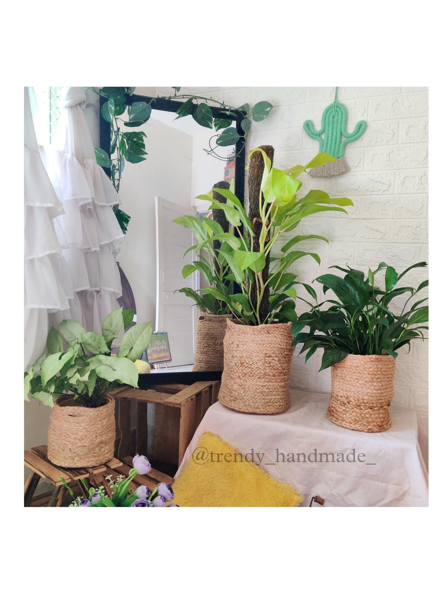 Jute Planters