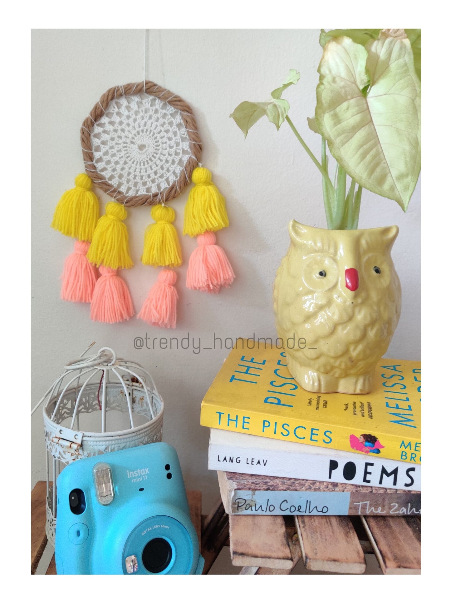 Sunshine Crochet Tassel Wall Hanging Dreamcatcher